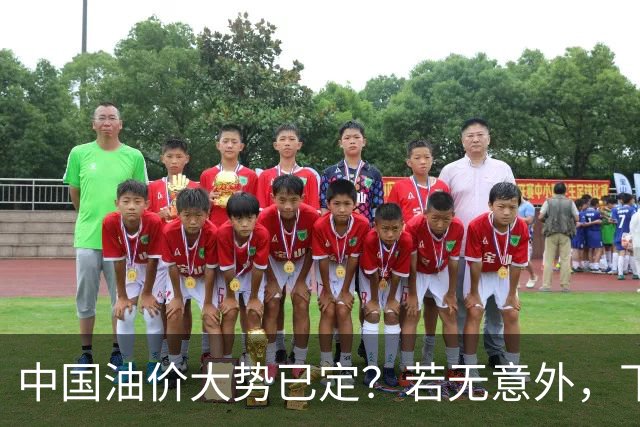 中国油价大势已定？若无意外，下个月起燃油车主或要直面3个现实