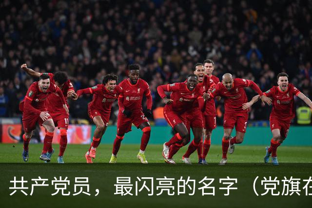 共产党员，最闪亮的名字（党旗在基层一线高高飘扬）