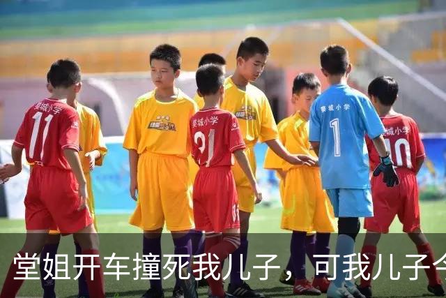堂姐开车撞死我儿子，可我儿子今天发烧没去幼儿园