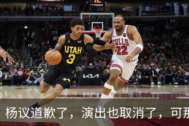 杨议道歉了，演出也取消了，可那句“误会”什么都没解决。