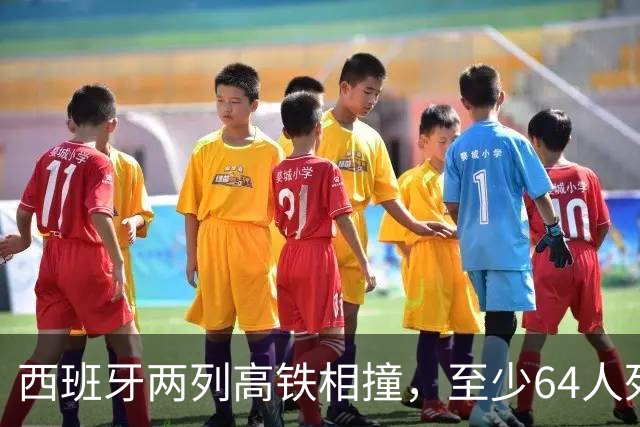 西班牙两列高铁相撞，至少64人死亡：信号故障与放行指令成调查重点