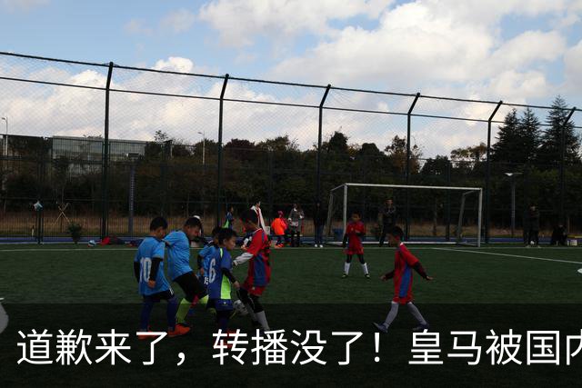 道歉来了，转播没了！皇马被国内平台除名，这次道歉救不了它