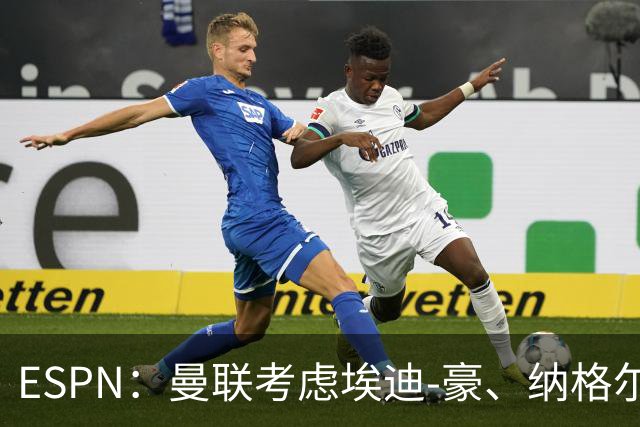 ESPN：曼联考虑埃迪-豪、纳格尔斯曼接替卡里克