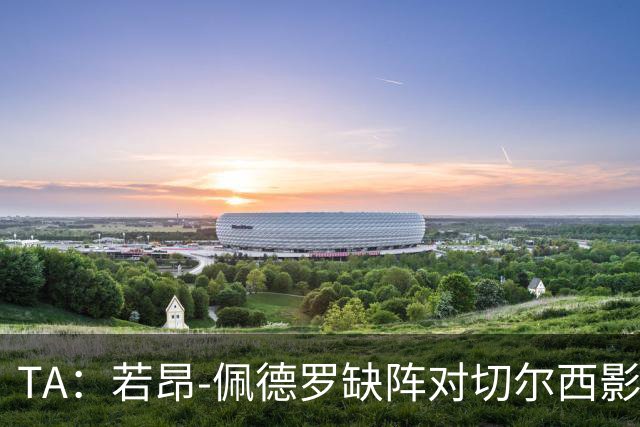 TA：若昂-佩德罗缺阵对切尔西影响极大，球队在前场缺少支点
